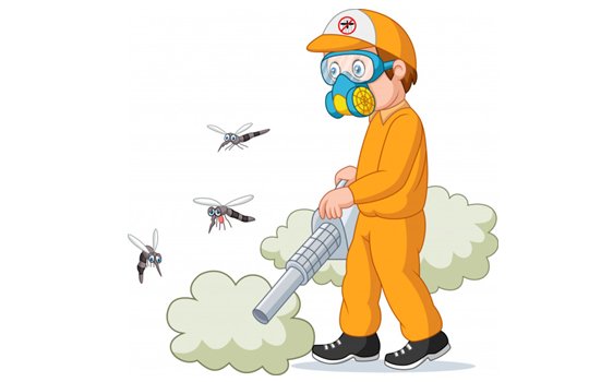 Bed Bug Treatment